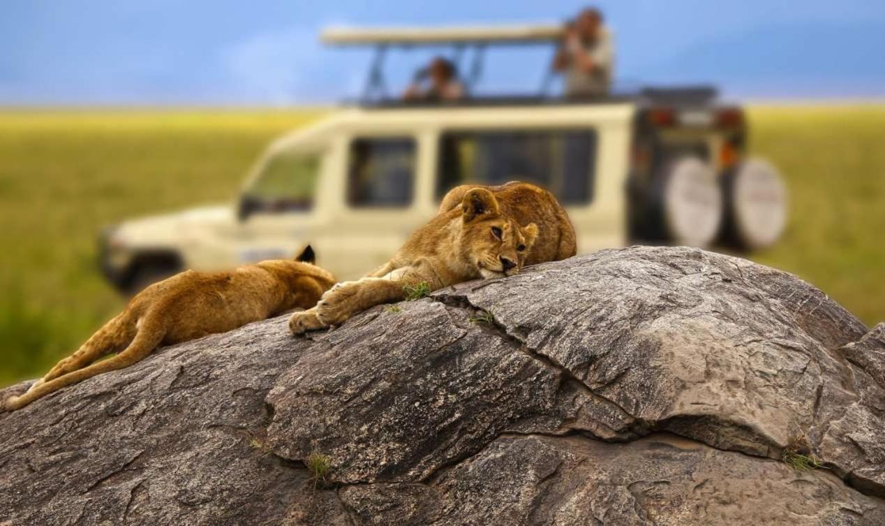 Rayan Apartments & Safaris アルーシャ エクステリア 写真